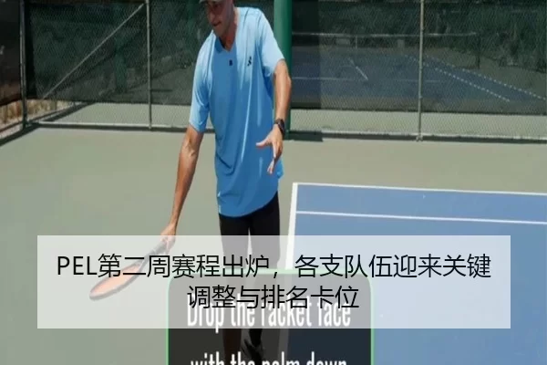 PEL第二周赛程出炉，各支队伍迎来关键调整与排名卡位 | c7